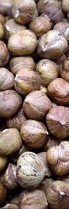 Haselnüsse ohne Schale Bio naturbelassen