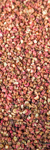 Szechuanpfeffer Bio ganz